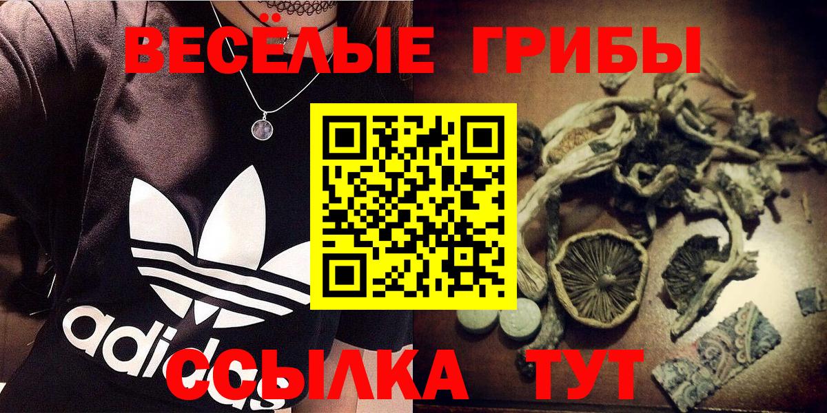 Галлюциногенные грибы Psilocybe  Псилоцибиновые грибы Psilocybe  Вход с VPN  Чебоксары 