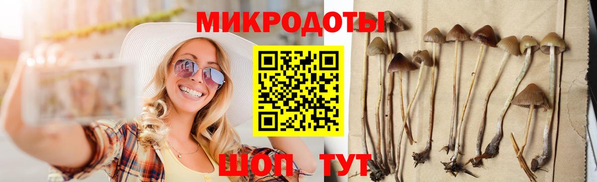 Галлюциногенные грибы мицелий Чебоксары